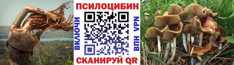 Галлюциногенные грибы мицелий  хочу наркоту  Олонец 